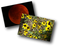 Howell Wetlands & Lunar Exlipse Photos