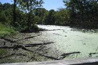 Howell Wetlands