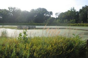 Howell Wetlands